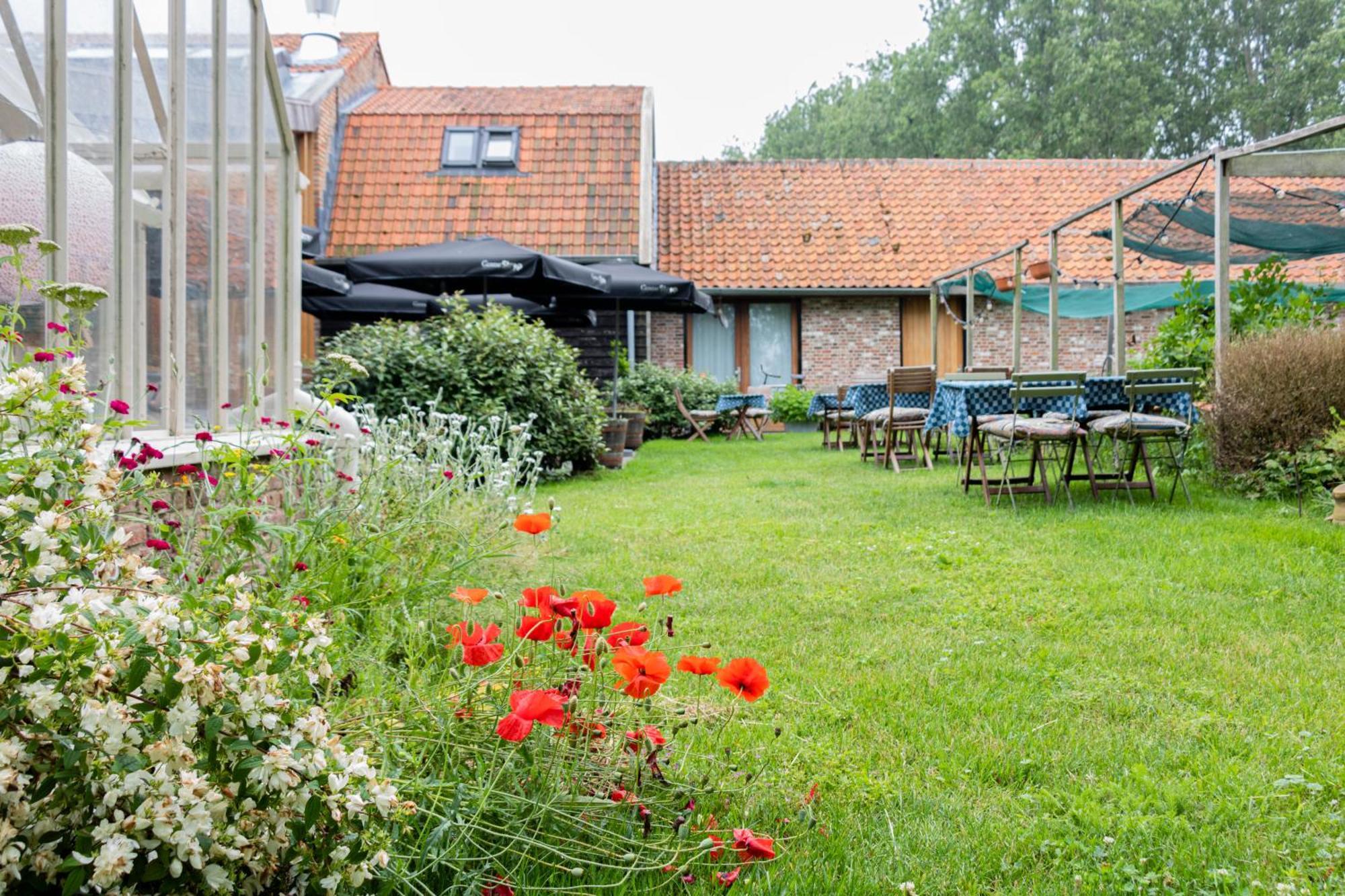 De 6 Linden Boutique Hotel Sluis Exterior photo